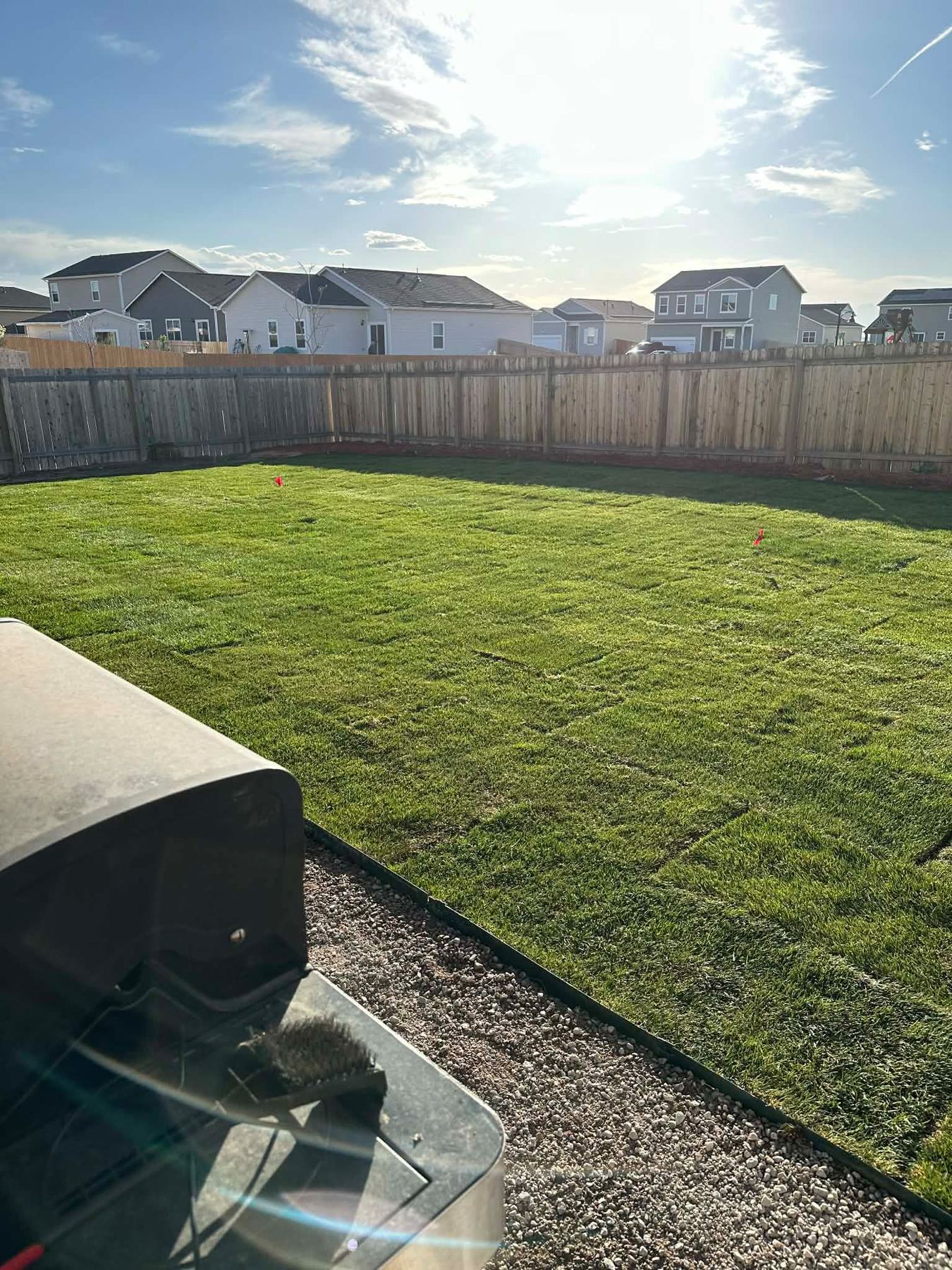 Sod installation, fenced backyard, Denver Metro, CO