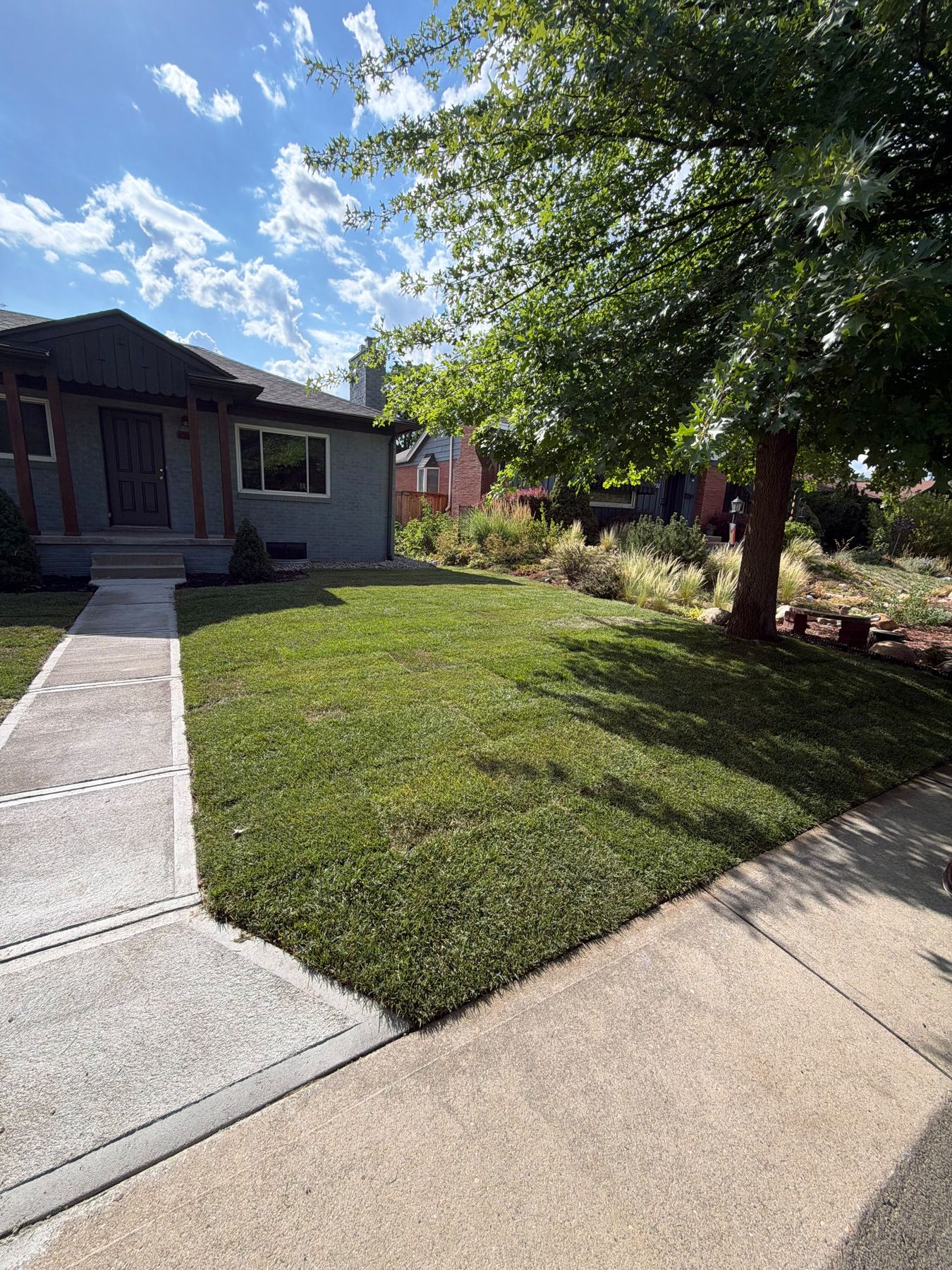 Sod & Lawn Installation in the Denver Metro area
